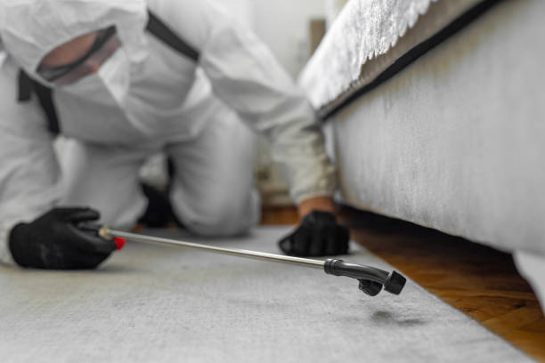 Professional Bed Bug Control technician working in Biddeford, ME