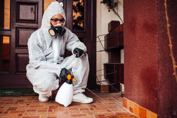 Reliable Bed Bug Control contractor in Biddeford, ME by Nex Pest Control